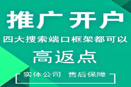 某公司通过百度竞价实现业务快速增长的案例